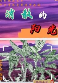 消散的阳光